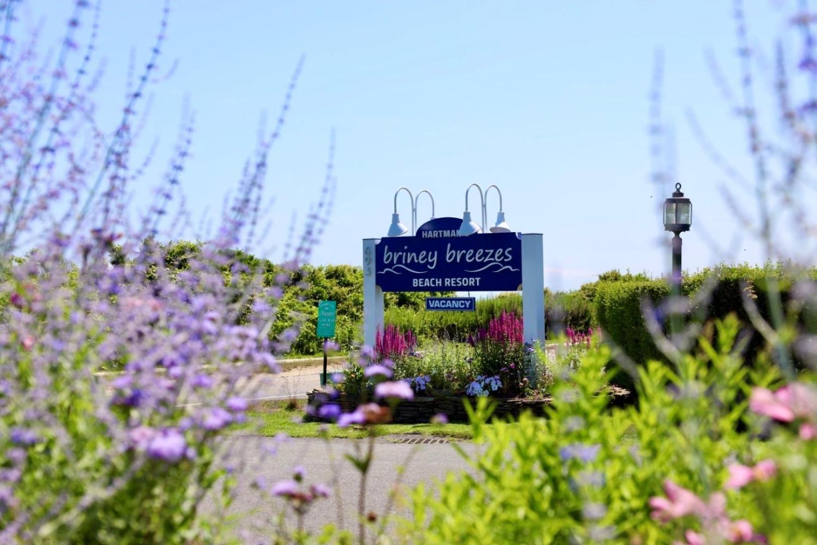 Hartman'S Briney Breezes Beach Resort Montauk Dış mekan fotoğraf